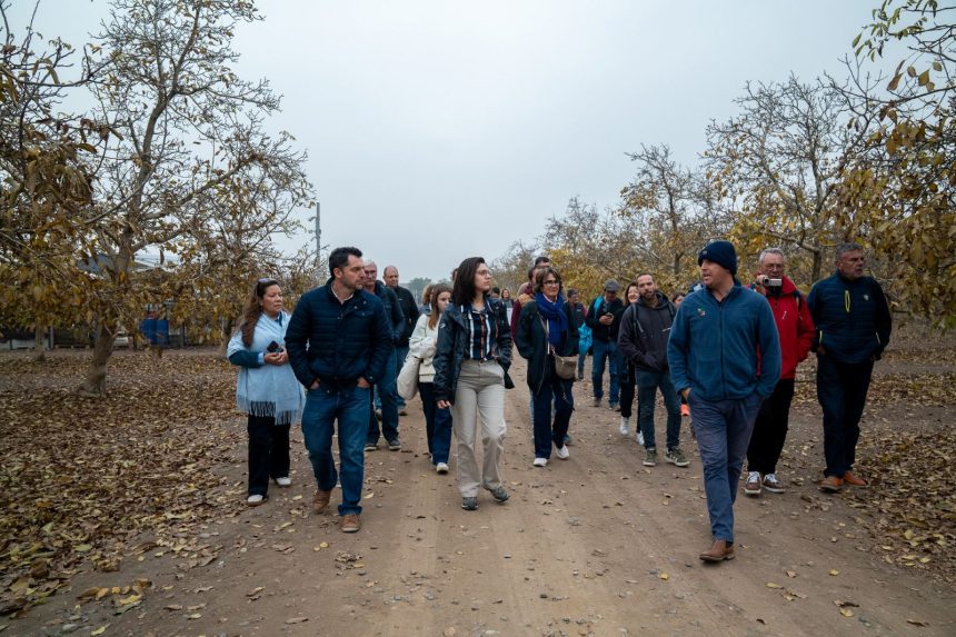 Delegación francesa del sector nogalero recorre huertos de nogal en Chile para conocer el modelo productivo, el manejo agronómico y la organización gremial de la industria nacional de la nuez